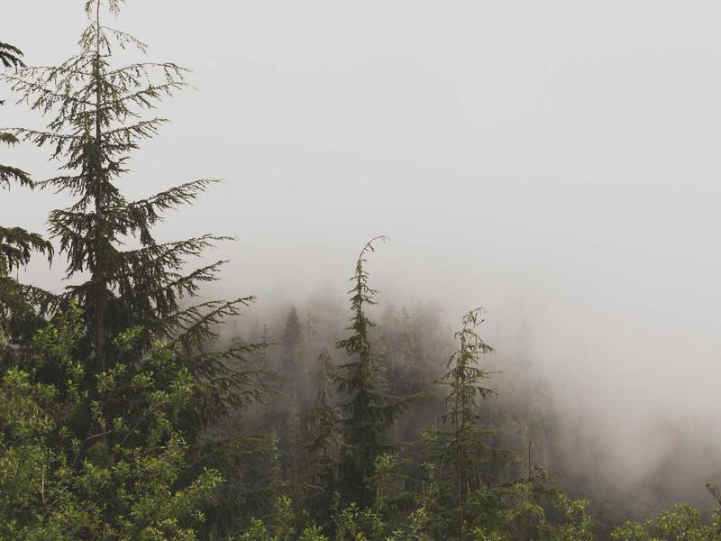Outdoor Life